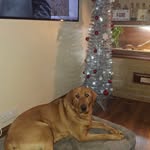 Toni Thacker - @tonithacker26 - Instagram