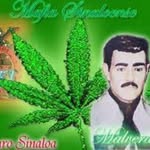 Toñito Barboza - @tonitobarboza - Instagram