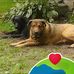 Toni Tolbert - Facebook
