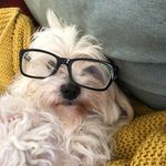 Toni Tomlin - @toni.tomlin.37 - Instagram
