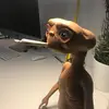 Tonito Thawoods - @tonitothawoods - TikTok