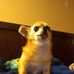 Toni Tyson - Facebook