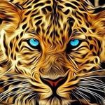 Toni Ware - @toniwarem77 - Instagram