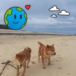 Toni Warren - @toniwarren477 - Instagram