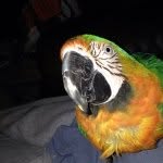 Toni 🐦 - @toni_wiley - Instagram