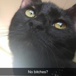 Toni Willis - @meep_morp2 - Instagram