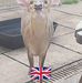 Tonia Garner - Facebook