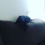 Tonia Miller Gray - @tea4me01 - Instagram