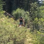 Tonia Johnsen - @toniajohnsenart - Instagram