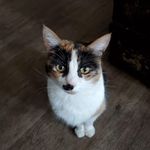 Tonia Carrier Mitchell - @tonia.c.mitchell - Instagram