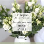 Tonia Moroz - @toniamoroz - Instagram