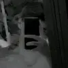 Toni aroche - @toni.aroche - TikTok