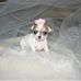 Tonia Sullivan - Facebook