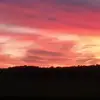 Tonya Wiggins - @tonya.wiggins1 - TikTok