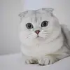 tonjajames - @tonjajames7 - TikTok