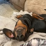 Tonya Creekmore - @tonya.creekmore.779 - Instagram