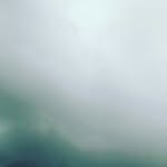 tonya green - @tonya_geen - Instagram