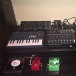 @tony__alaniz_ - Instagram