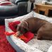 Tony Alexander - Facebook