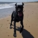 Tony Ames - @tonykames6 - Instagram