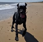 Tony Ames - Facebook