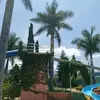 Tony Antonio - @tony.antonio102 - TikTok