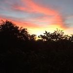Tony Arce - @tony.arce.33886 - Instagram