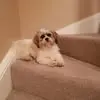 Tony Pearce - @tony.pearce8 - TikTok