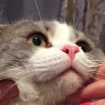 Юра Каракозов - @tony_archer - Instagram