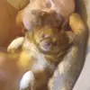 Tony Attaway - @tony.attaway - TikTok
