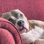 Tony Auld - @gunnerauld - Instagram