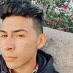 Tony Badillo - @tony_cetzoo - Instagram