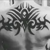 tonybain929 - @tonybain929 - TikTok