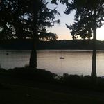 Tony Luzar - @tony_bainbridge_island - Instagram