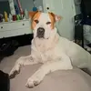 Tony Barrera - @tonybarrera83 - TikTok