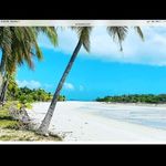 Tony Bartels - @bartels_tony - Instagram