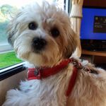 Tony Baugh - @tony.baugh.39 - Instagram