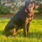 Tony Baugher - @acfr0053 - Instagram