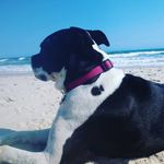 Tony Beam - @tonybeam1 - Instagram