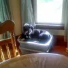 tony beam - @tony.beam - TikTok