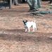 Tony Bean - Facebook