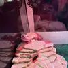 Tony_Bean - @tony_bean3 - TikTok