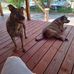 Tony Beard - Facebook