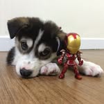 Tony&Bee - @tony_and_bee - Instagram