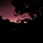 Tony Benham - @morning_mist_on_woronora - Instagram