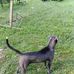 Tony Benham - Facebook