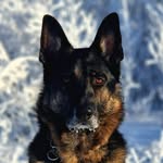 Tony Bergman - @tonybergmanmsncomtonybergmanms - Instagram