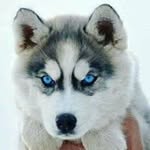 Tony Best - @tony.best - Instagram