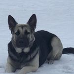 Tony Betts - @betts222 - Instagram