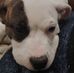 Tony Biggs - Facebook